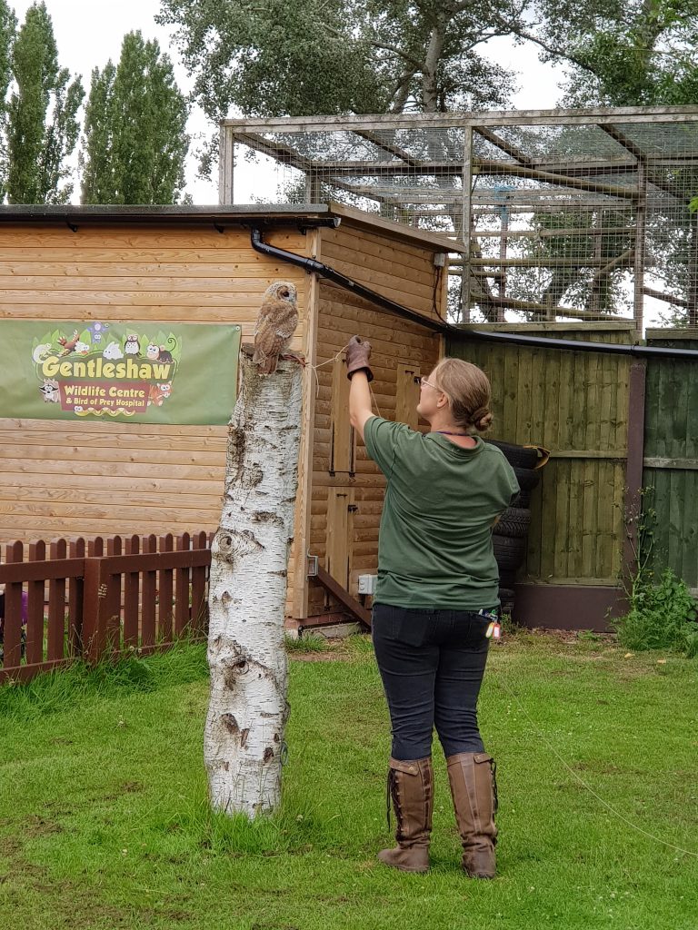 Gentleshaw Wildlife Centre | Friends and Canines