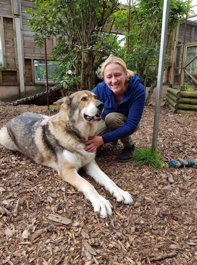 Gentleshaw Wildlife Centre | Friends and Canines