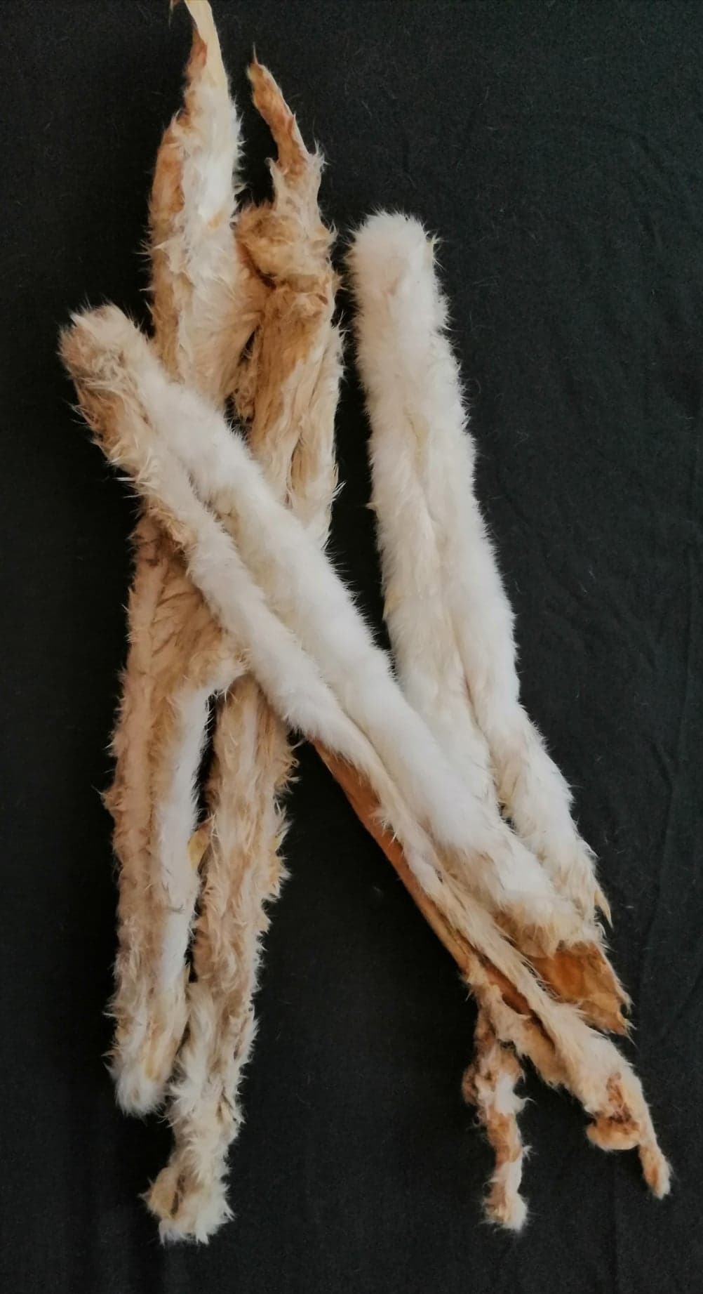Extra Long Rabbit Pelt | Friends and Canines