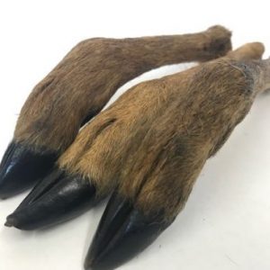 Venison Leg with Fur | Friends and Canines