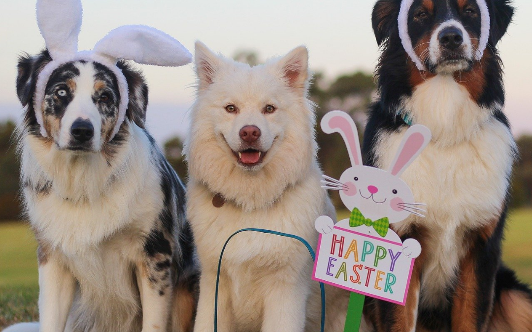 Easter treats for dogs