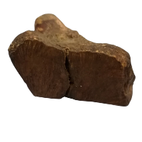 Wood root chew