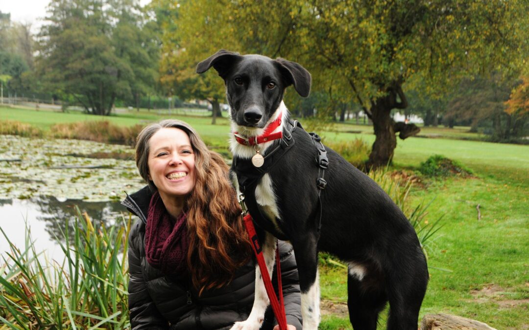 Five Top Tips on Finding A Great Dog Trainer from Friends and Canines