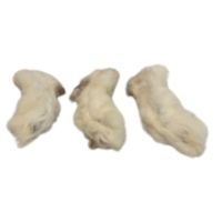Rabbit Feet from Friends and Canines