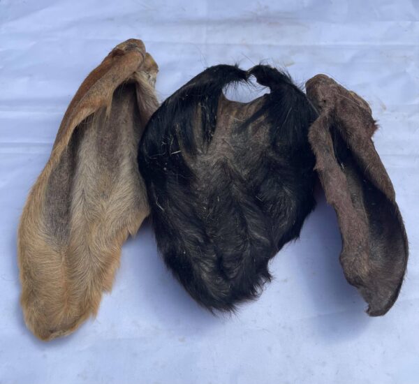 Small Hairy Cows Ears from Friends and Canines