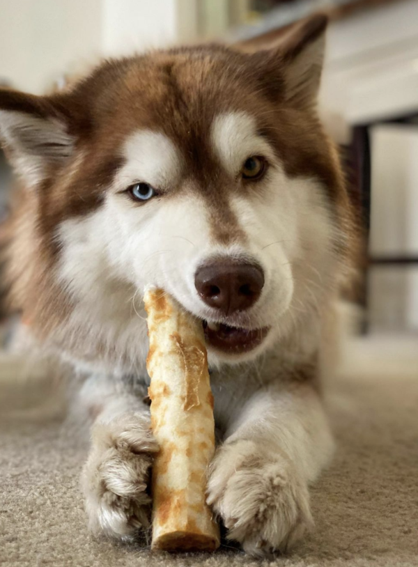 Earth Animal No-Hide Dog Chews from Friends and Canines