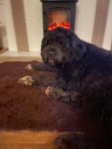 Dog-Friendly holiday in Scotland with Friends and Canines