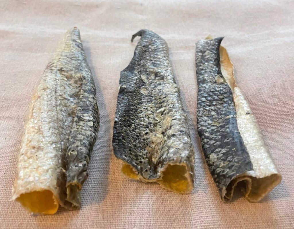 Salmon Skin Flats from Friends and Canines