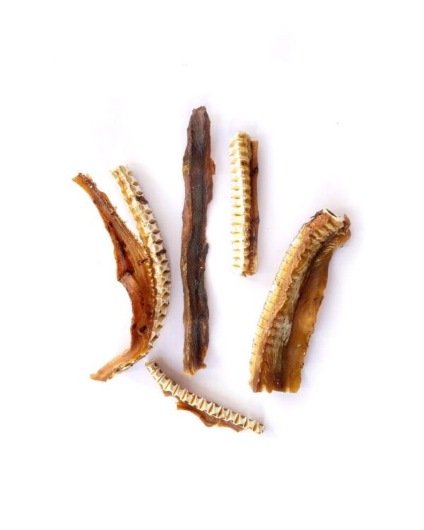 Dried curadillo fish from Friends and Canines