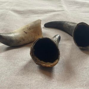 Empty Cow Horns from Friends and Canines