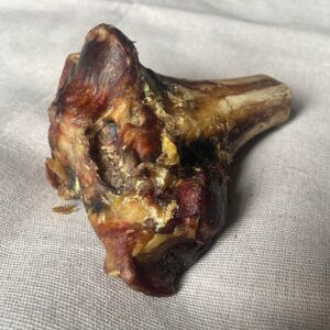 Ostrich Knuckle Bone from Friends and Canines