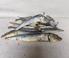 Dried Scad (mackerel) Fish from Friends and Canines