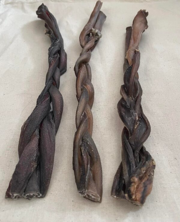 Braided Camel Skin from Friends and Canines