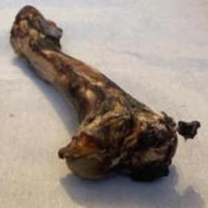 Venison Bone from Friends and Canines
