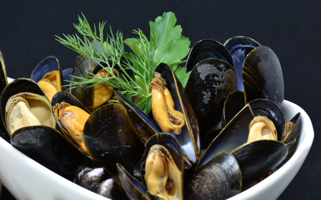 Benefits of Green-lipped mussel for dogs from Friends and Canines