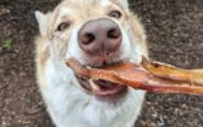 Moon Bones for Dogs: A Natural and Nutritious Dog Chew