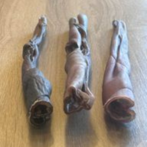 Rolled Camel Skin Dog Chew from Friends and Canines