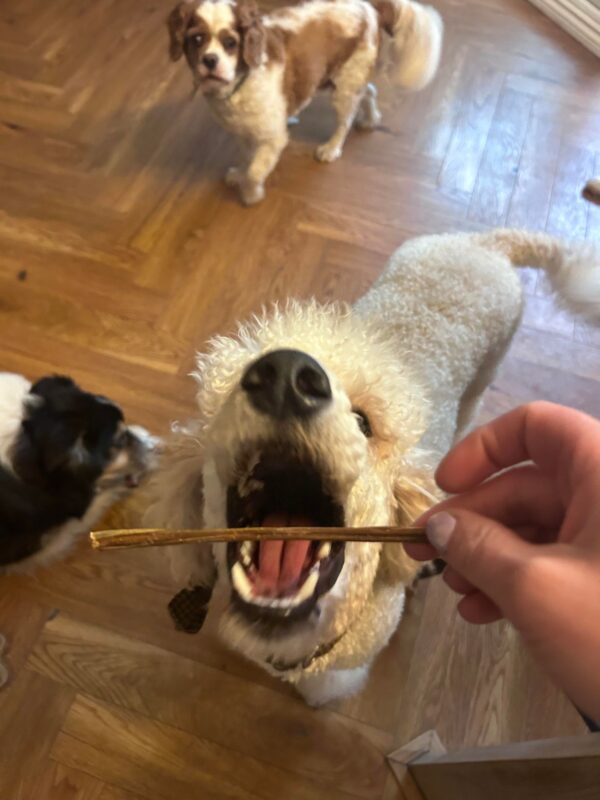 Lamb spaghetti from Friends and Canines