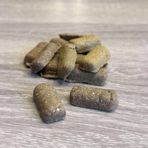 Fish Bites from Friends and Canines
