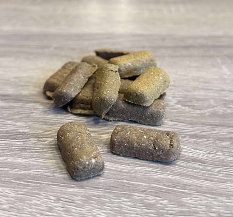 Fish Bites from Friends and Canines