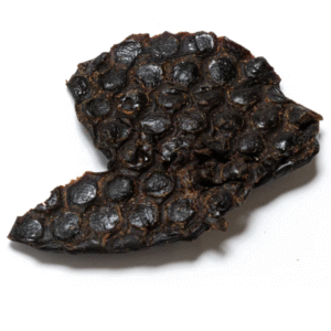 ostrich liver from Friends and Canines