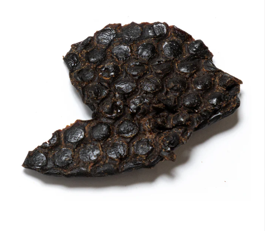 ostrich liver from Friends and Canines