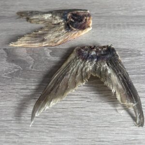 Fish Tails dog treats from Friends and Canines