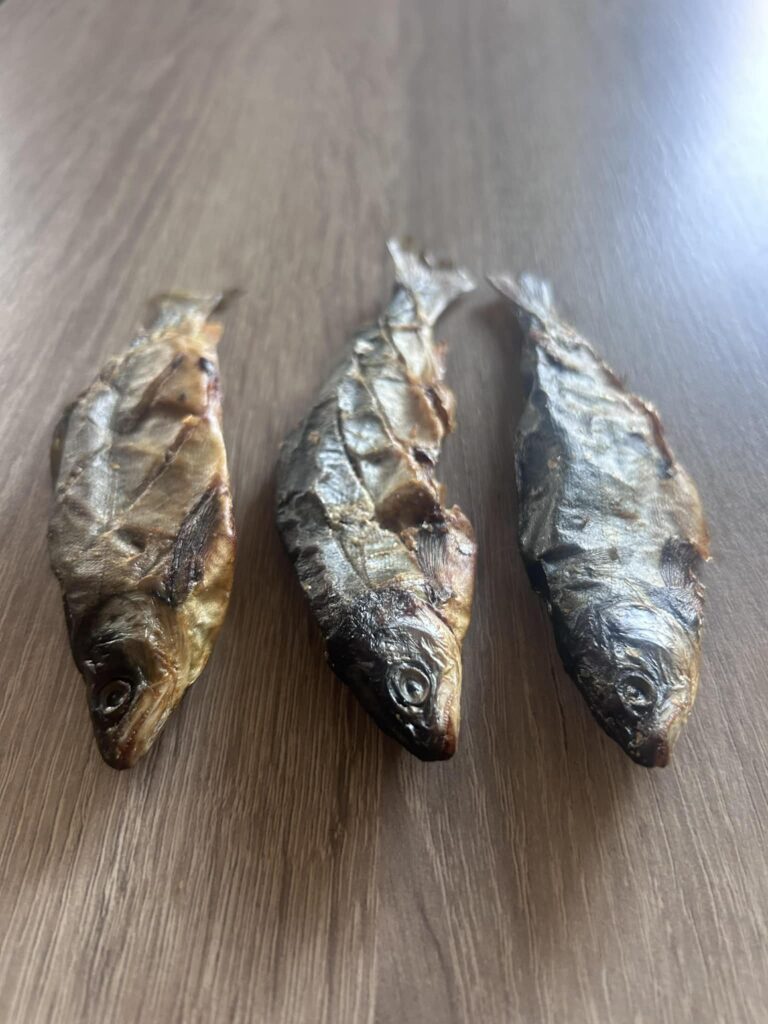Whole Salmon from Friends and Canines