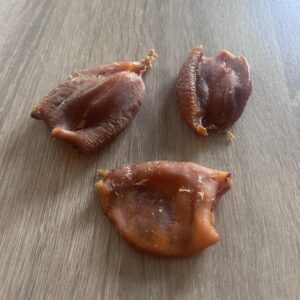 Squid Bites from Friends and Canines