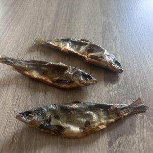 Whole Salmon from Friends and Canines