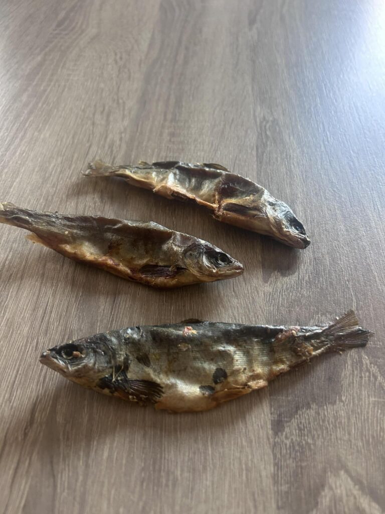 Whole Salmon from Friends and Canines