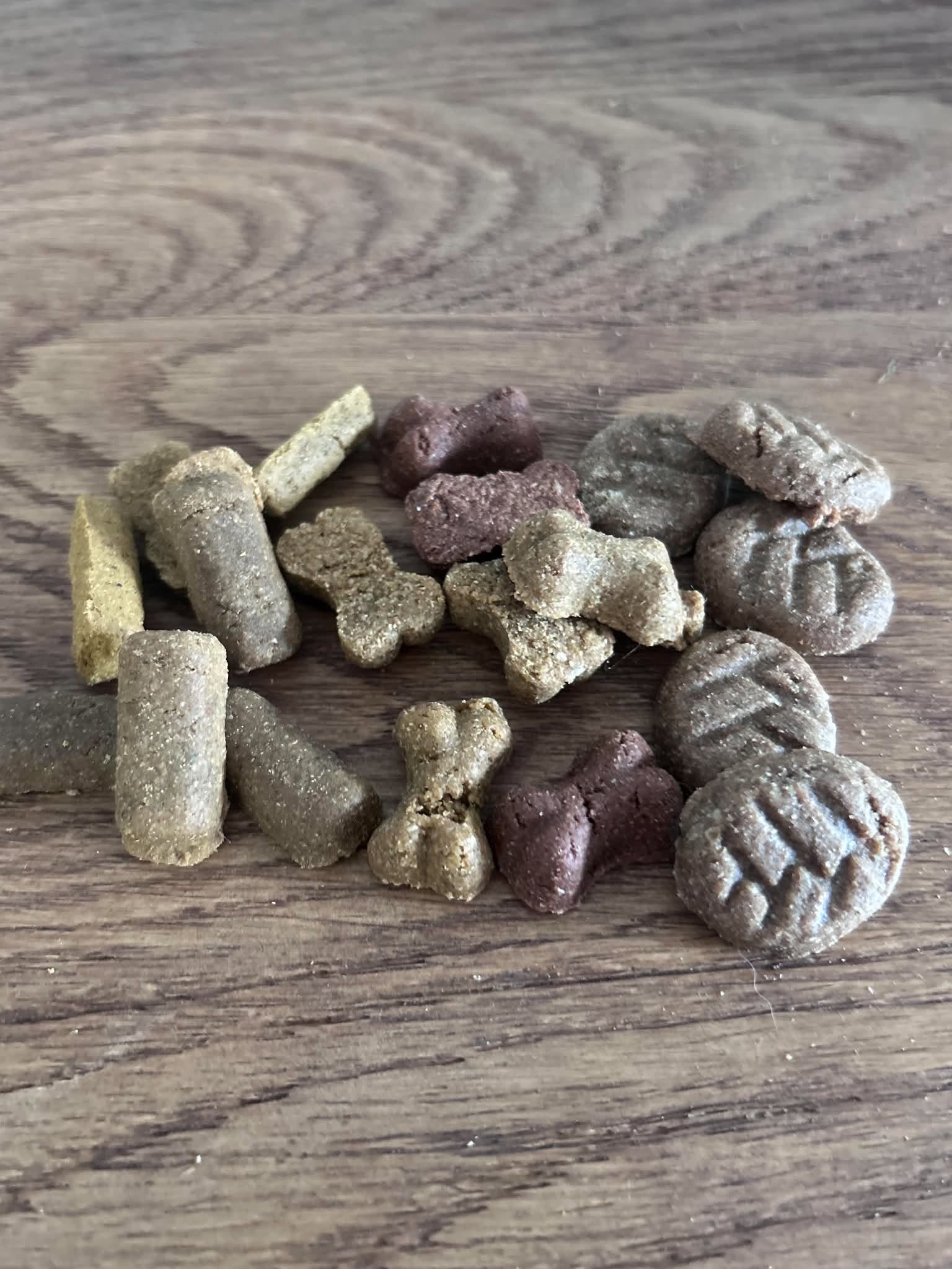 Dog Training Treats Bites from Friends and Canines