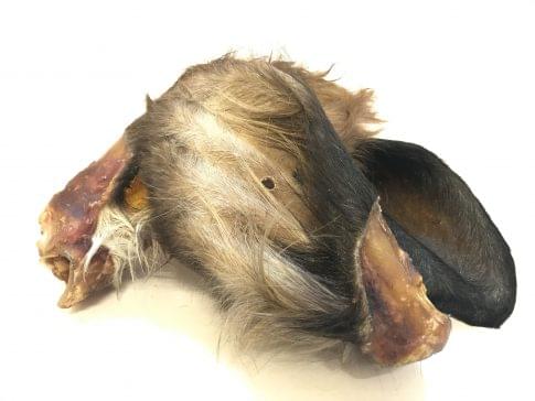 Friends and Canines | Hairy cow's Ear