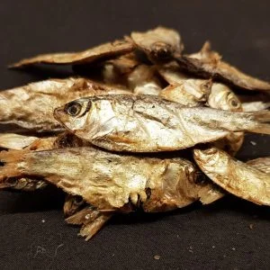 Friends and Canines | Sprats