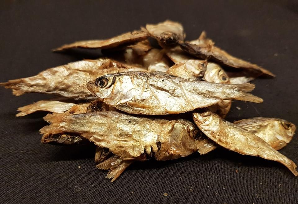 Friends and Canines | Sprats