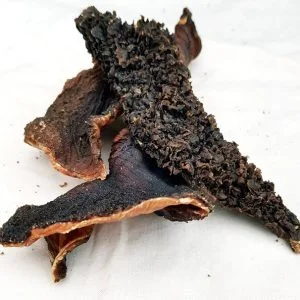 Friends and Canines | Dried Tripe