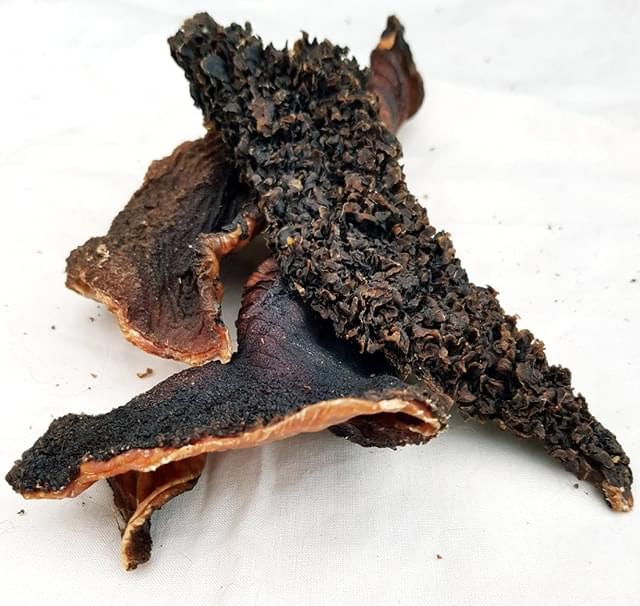 Friends and Canines | Dried Tripe