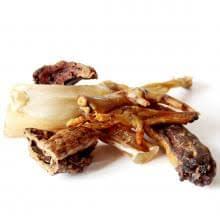 Friends and Canines | Bone Appetite