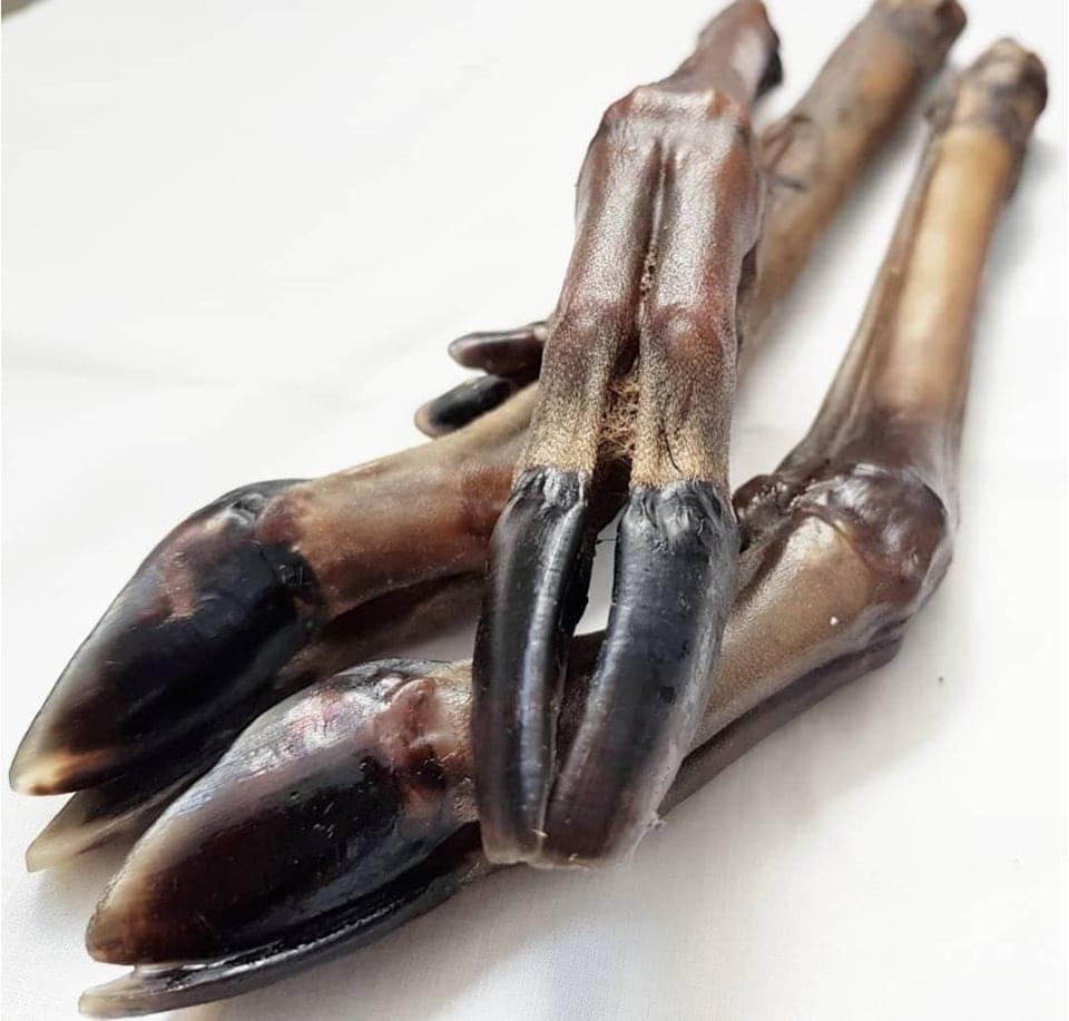 Friends and Canines | Venison Leg