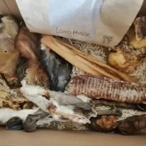Monthly Dog Treat Box