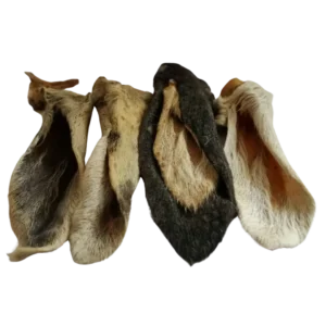 hairy lamb's ear