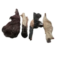 Lamb Head Skin with Hair from Friends and Canines