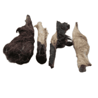 Lamb Head Skin with Hair from Friends and Canines