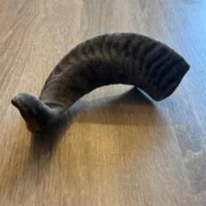 Lamb Horn from Friends and Canines