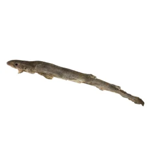 Dogfish from Friends and Canines Natural Dog Treats