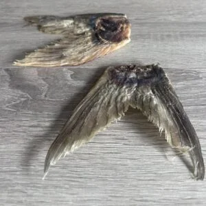 Fish Tails dog treats from Friends and Canines