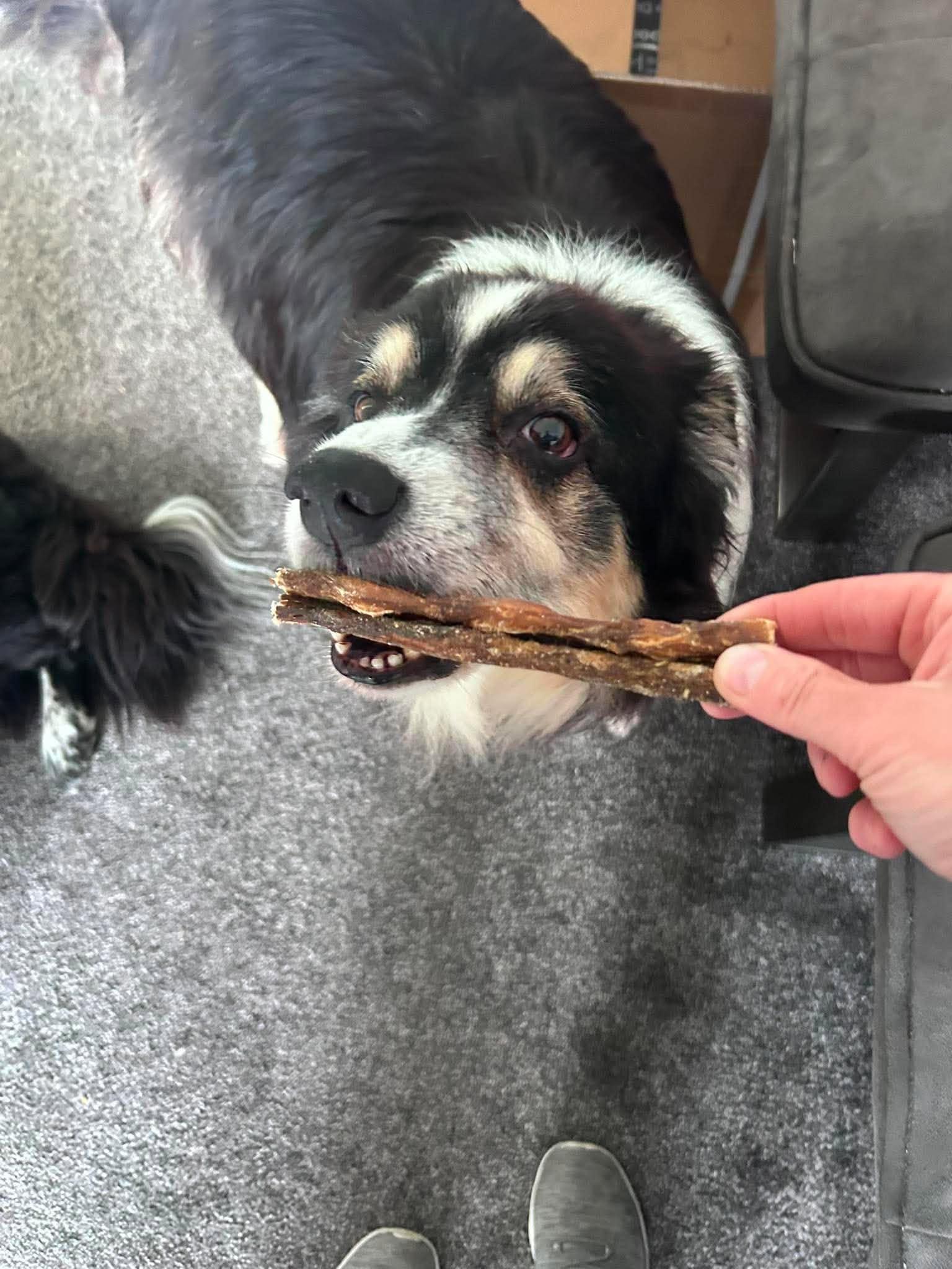Beef Abomasum Dog Treat from Friends and Canines
