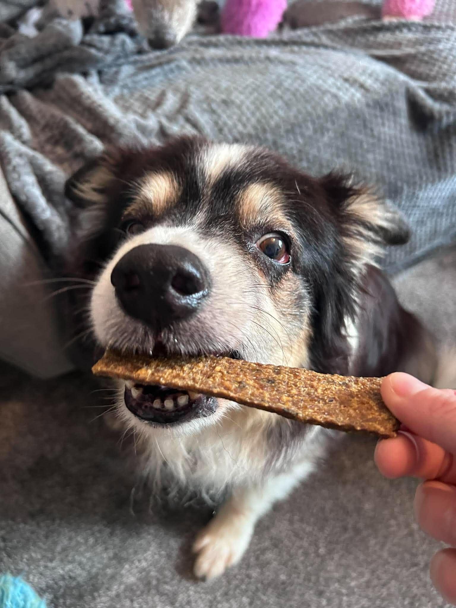 Fish Meaty Strips from Friends and Canines