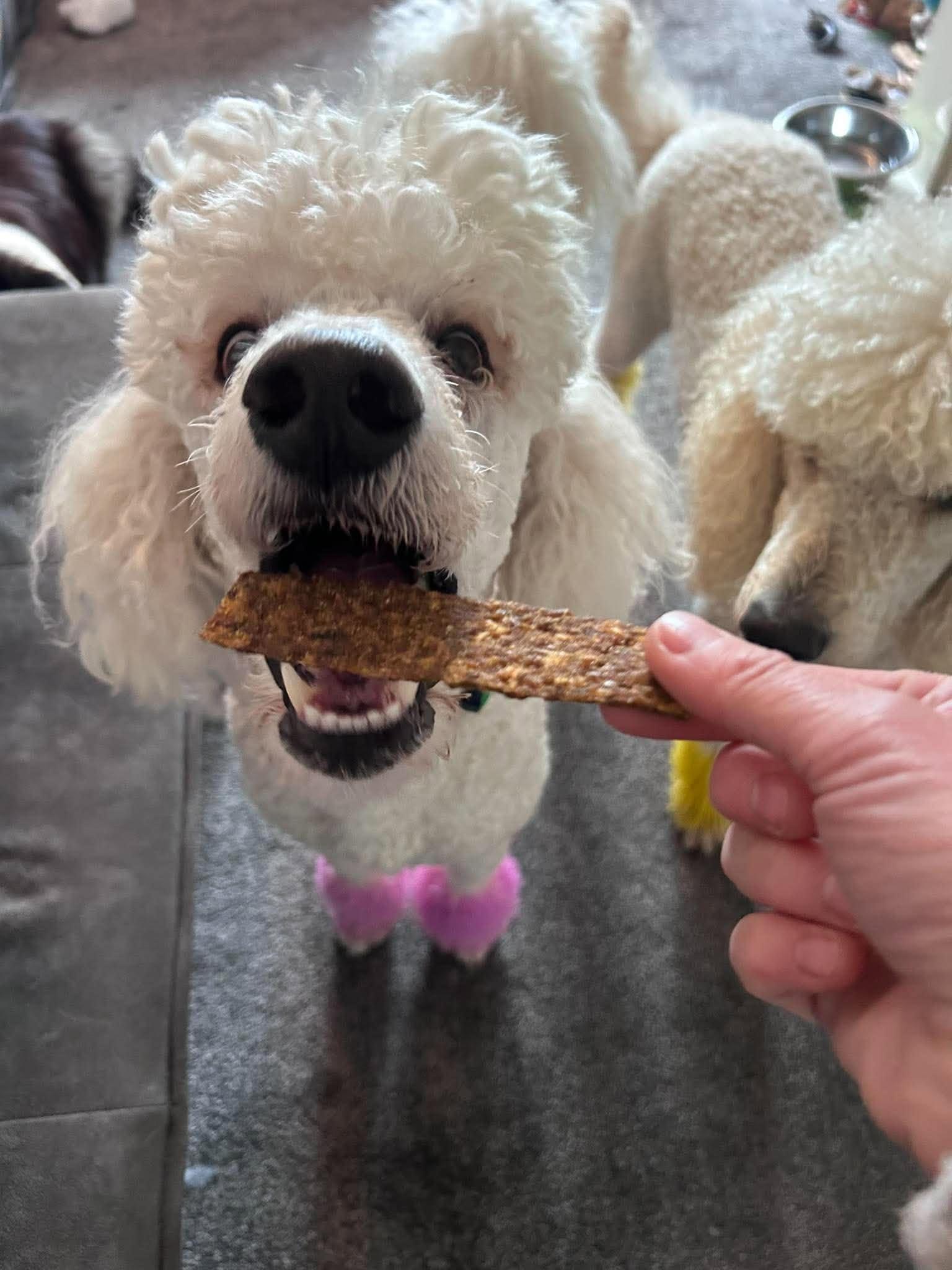 Fish Meaty Strips from Friends and Canines